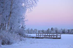 Joulukuun alun kuvia Hongistosta (Antero Ylitalo)