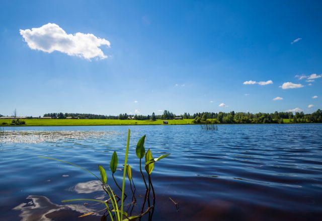 Lämpimät onnittelut ammattiin valmistuville ja uusille ylioppilaille sekä hyvää kesälomaa kaikille koululaisille! 🌞

Kuva Lestijoen rannalta: @juhalaitalainen