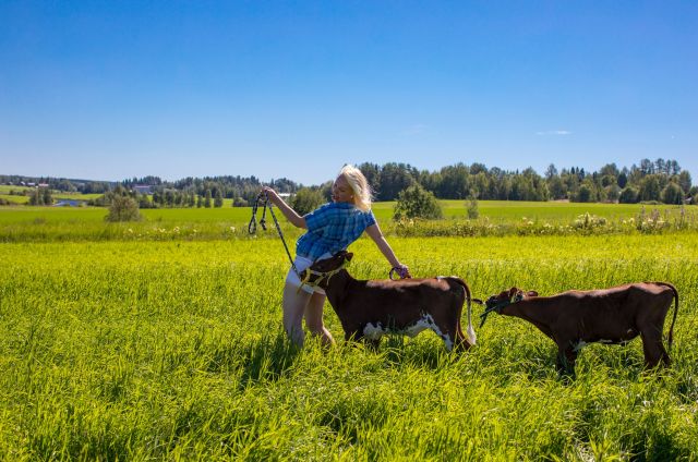 Hyvää juhannusta! 🌸🌼🌺

Toholammin kunnantalo on juhannusaattona suljettu, mutta ensi viikolla ovet ovat vielä auki normaalisti.

Toholammin kirjasto on suljettu juhannusaattona - omatoimikirjasto palvelee joka päivä klo 7 - 21.

Kuva lamppilaisista maisemista: @juhalaitalainen